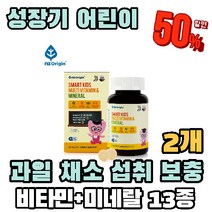엔젯오리진 스마트키즈 어린이 아이 씹어먹는 멀티비타민 미네랄 츄어블 60정, 2개