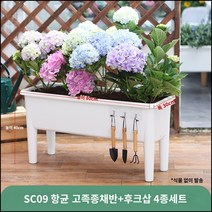 킹마이크로 플라스틱 항균 고각종채반+후크삽4종세트/대 4세트 수경재배 직사각 스마트팜 채소 야채 식재용, 단품