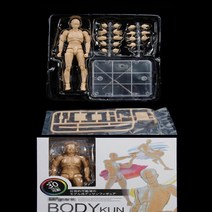 인체모형 드로잉 피규어 바디 스케치 조립형 관절피규어 바디쿤 여성 남성, shf 럭셔리 스킨 남성