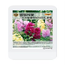 겹접시꽃 스프링셀러브리티즈 씨앗 혼합 10립 겹접시꽃 꽃씨 두리 씨앗