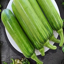 국내산 애호박 특품 [꼭지네 농산물], 애호박 20개