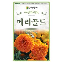아프리칸 메리골드씨앗 500g, 단품없음