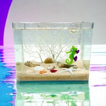 타이니 레이아웃 원더랜드 어항세트 18p
