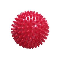 강아지짐볼 미니 요가 공 휘트니스 작은 운동 필라테스 공 풍선 빨대 pvc 25cm 요가 마사지 공 체육관 홈 안정성 훈련, 06