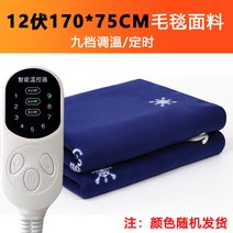 전기 장판 12V 24V 매트 캠핑 차박 여행용 온도조절 9단 스마트 조절 스위치 차량용 2인용 색상랜덤, 12V 170cmX75cm 9단 스마트조절