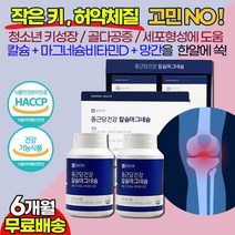 종근당 청소년 중학생 고등학생 키크는 성장 칼슘 종합영양제 / 남 여 학생 성인 성장 발육 촉진 뼈성장 도움 필수영양소 / 키즈 칼슘 마그네슘 10대 20대 건강기능식품 추천, 1상자 (6개월)