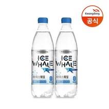 광동 아이스웨일 탄산수 플레인 500ml x 20펫, 20개
