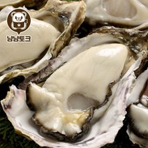 국내 통영 리얼 삼배체굴 개체굴 1kg 2-3미 내외, 1개