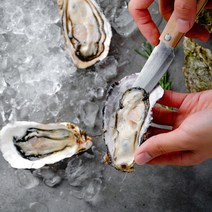 통영 생굴 하프셀 반각굴 생물 30미 50미 100미 굴석화 석굴 제철 당일작업, 반각굴 (하프셀) 100미 내외