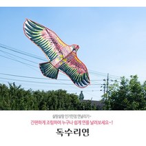 하늘의 제왕 독수리연 연날리기 공원 캠핑 허수아비 조류퇴치 참새 퇴치, 랜덤