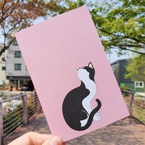 전통민화 꽃분홍색 묘작도 고양이 디자인 엽서 대한민국 한국 관광 기념품 굿즈 소품, 단일제품