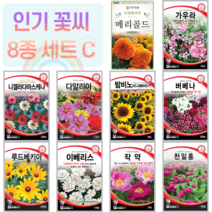 꽃씨 10종 세트 C 메리골드 작약 니겔라 다알리아 해바라기 버베나 루드베키아 꽃 씨앗, 1개