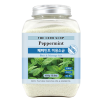 더허브샵 페퍼민트 미용소금 2개입, 450g, 2개