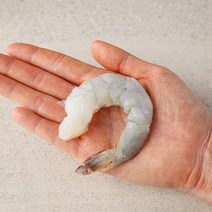 냉동 손질 흰다리새우살 450g(21~25미 내외), 단품