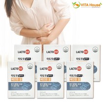 비타하우스 락토핏 솔루션 2 예민한 장 450mg x 30캡슐 6박스 (6개월분) 배변활동 장건강 유산균 장고민