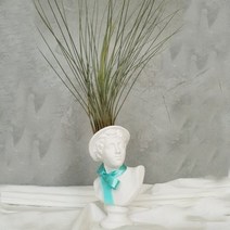 아트박스/모리아트 대만여인 석고상화분 틸란드시아 준세아+모스+리본, 투우사