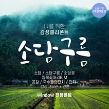 다온폰트 타이핑치는 캘리그라피 소담구름 6개월 쿠폰(윈도우전용), DAON SODAM CLOUD / 6