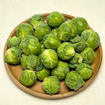 [팜니스] 제주 애월 미니 방울 양배추 1kg 2kg 3kg 5kg 브라쉘 스프라우트