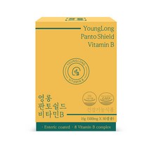 영롱 판토쉴드 비타민B, 단품, 30캡슐