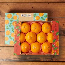 [KT알파쇼핑]제주 천혜향 1.6kg 10-12과