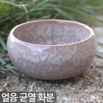 얼음 균열 도자기 선인장 화분 - 미니 다육이 다육 자기 책상 사무실 아이방 거실 인테리어, 04_Sein_얼음균열화분-연회색A
