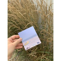 대천해수욕장 떡메모지, 파란물통