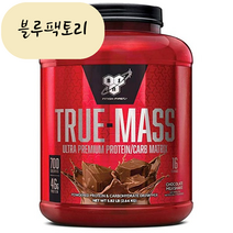 (믿고보는 블루팩토리) 비에스엔 트루 매스 프로틴 파우더 단백질 보충제 초콜릿 2.64kg 품절시 대체상품 추천, 1개