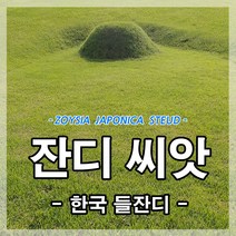 추천 묘지잔디구입 인기순위 TOP100 제품