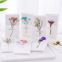 말린꽃카드/드라이플라워 카드/프리저브드플라워 카드*, 하늘꽃
