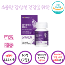 플러스 멀티밸런스요오드60정 비타민 미네랄 7종 함유 옥수수수염추출물 히비스커스추출물 분말 아연 셀렌 B1 B2 B6 B12 D 강황 자라 흑마늘 풋사과 뽕나무잎 마카 비수리, 60정, 1통