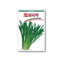 보키니 새싹재배기 보리싹 밀싹 치커리싹 알팔파싹 브로콜리싹 적콜라비싹 청경채싹 귀리싹 적케일싹 적무싹 무순 겨자싹 씨앗 종자 30g