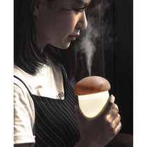 여친 100일 선물용 버섯 무드등 가습기 저소음 청소하기쉬운 안방 간편세척, 블랙