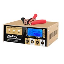 차량 배터리 충전기 자동차 충전 AMG 12V 24V 겸용