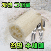 [리키보이즈]천연 친환경 생 수세미 열매, 1개