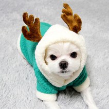 도기코디 크리스마스 루돌프 산타 후드티, 그린