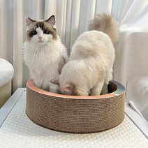 PETCA 고양이 서클 스크래쳐 대형 지름 46cm 캣닢포함, 1개