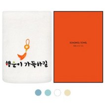 추석선물 답례품 수건세트 송월타올 드림캐쳐 자수타올, 10개, 민트