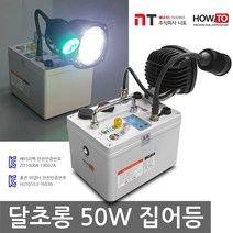 니토무역 하우투 집어등 달초롱 50W 갈치 호래기 갑오징어 볼락 칼치, 8.2시간 (SH-M50W-250D)