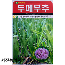 아람종묘 두메부추씨앗 100립