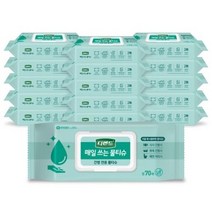 디펜드 매일 쓰는 물티슈 캡형, 70매, 80팩