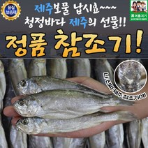제주산 실속 참조기 1.1kg 20미, 1개