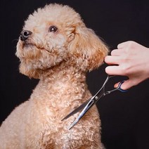 스마트 반려동물 미용가위 강아지 고양이 털정리 숱가위 커브가위 4type, 기본가위