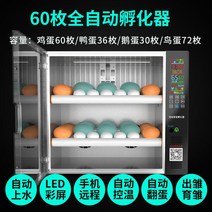부화기 입문용 2021년 신상품 조류 자동 부화 병아리 계란부화기 36란 실험, 8. 계란부화기 60란