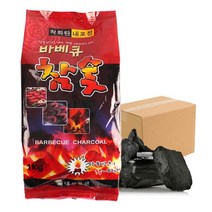 숯불구이 바베큐 캠핑 참숯 숯효능 불멍 1kg 12개 D1195