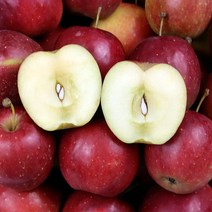 영천 한입 알프스오토메 미니사과 왕 2kg 40g이상