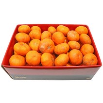 삼다몰 제주 레드향 3kg 5kg 10kg, 못난이 레드향 10kg, 1박스