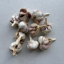 23년 수확 남해 통영 사랑도 한산도 햇 마늘 남도마늘 햇마늘, 5.남도마늘5kg(중사이즈), 1개