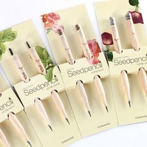 씨앗연필 재미있는 꿈쟁이 몽당 2개입 씨앗심기 546873EA, 쿠팡@ 방울토마토