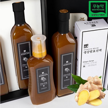 [오늘발송] 무농약 지리산 생강청 생강발효진액 520ml/630ml 국내산 생강 원액 효능 환절기 건강차 생강즙 국산 진한 생강진액, 630ml 지리산 국산 생강진액