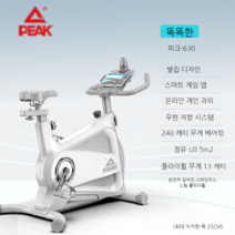 헬스자전거 스핀바이크 실내 홈 트레이닝 스피닝, 똑똑한 화이트
